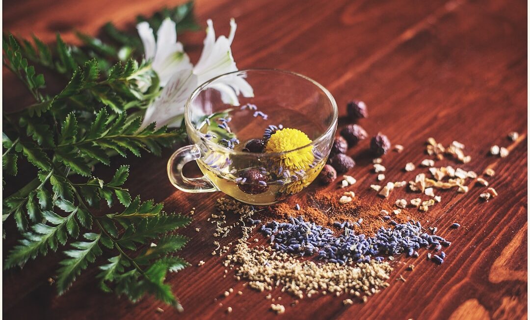 Călătoria plantelor medicinale: Remedii naturale pentru sănătate și bunăstare