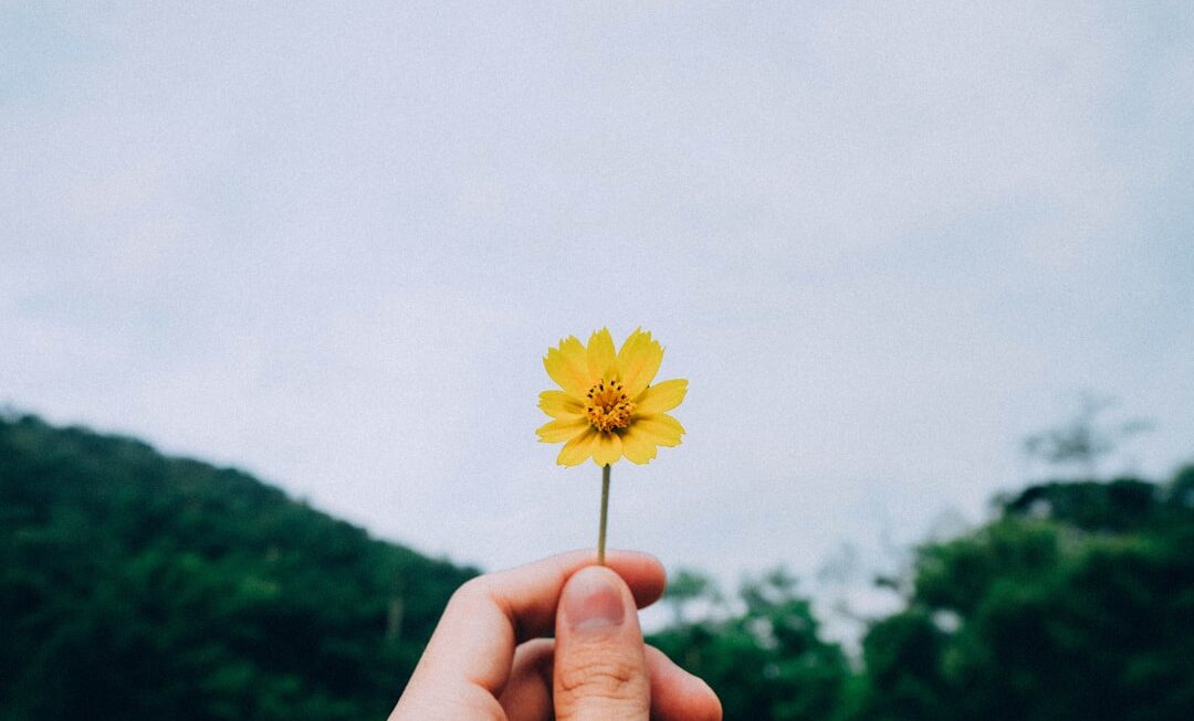 Știința bucuriei: Cum să cultivi fericirea și să trăiești în prezent