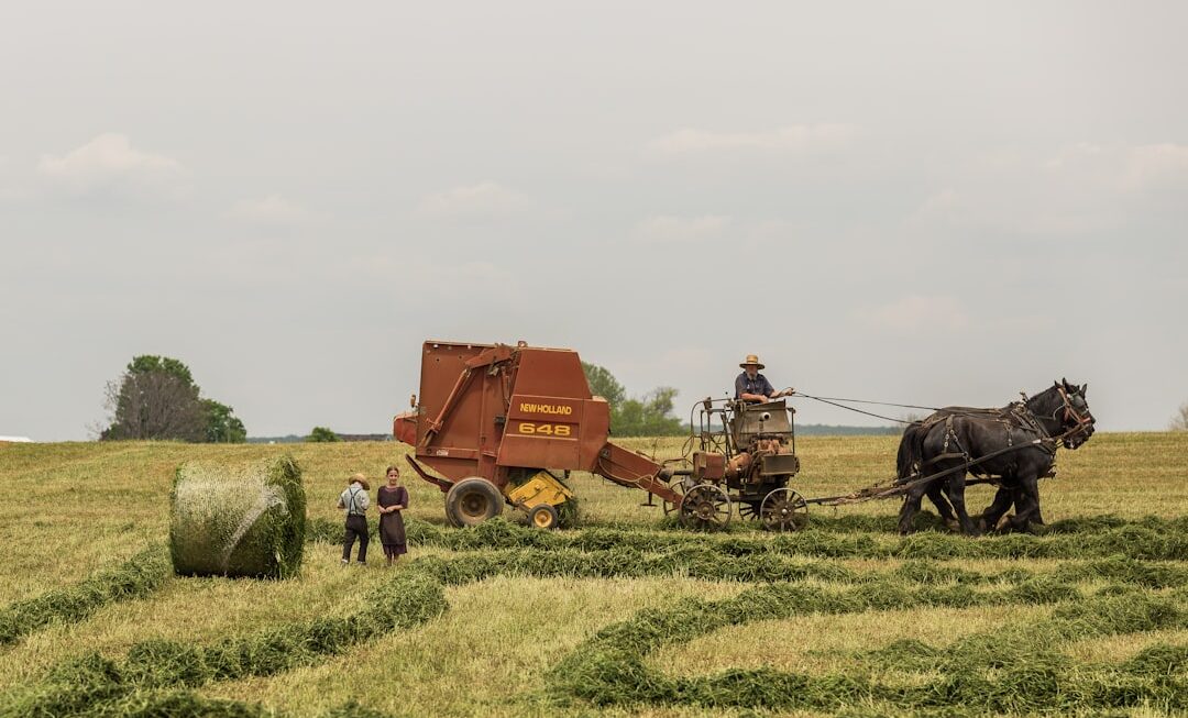 Revoluția în agricultura sustenabilă: Tehnologii și practici inovatoare