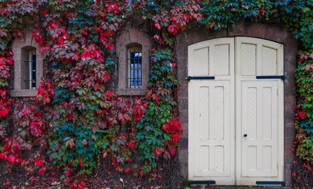 Cum să alegi ușa de garaj ideală