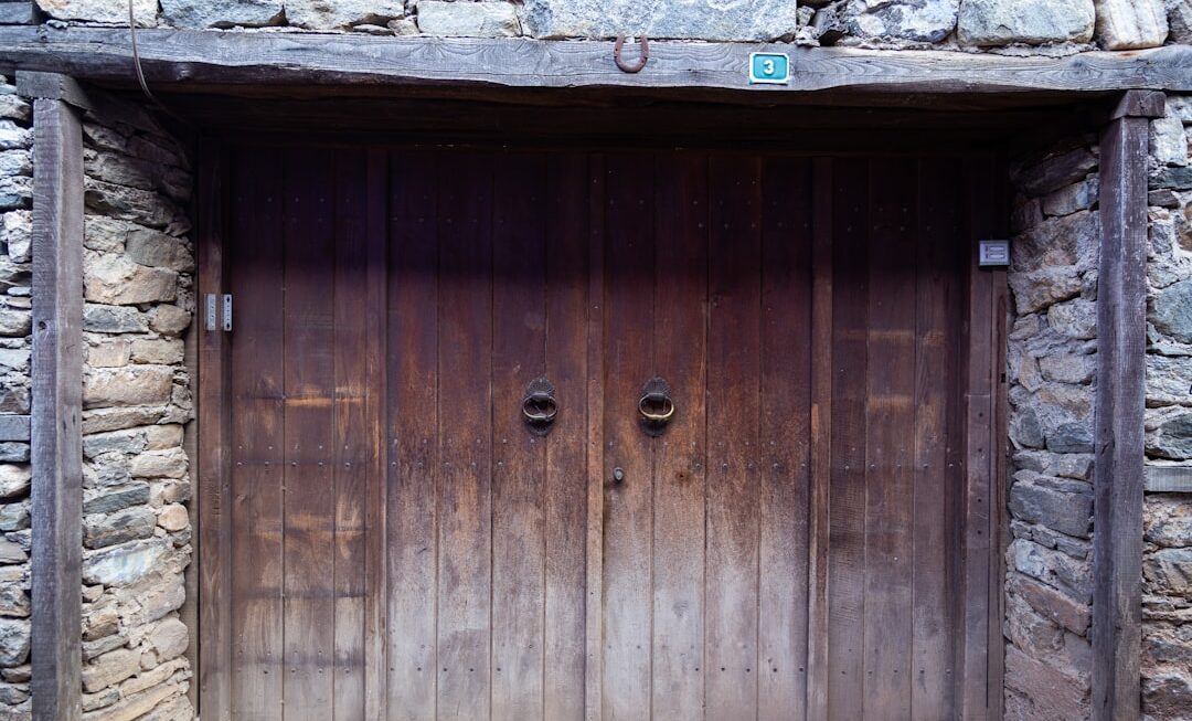 Securizarea garajului pentru protecția mașinii