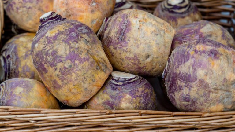 Cum să îți protejezi ochii și vederea în sezonul rece cu ajutorul alimentației