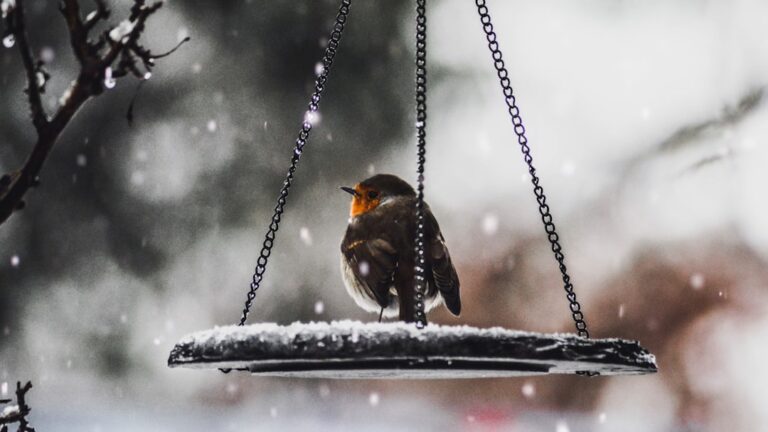 Cum să îți protejezi sistemul nervos de stresul iernii prin alimentație