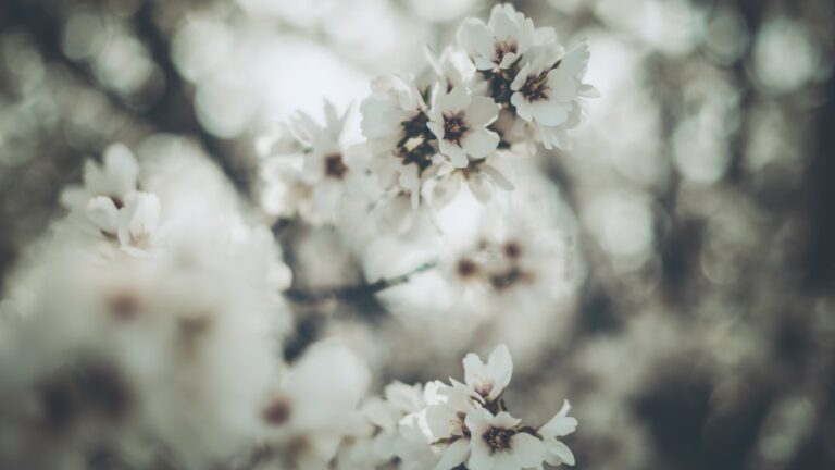 7 alimente bogate în magneziu care îți dau energie în sezonul rece