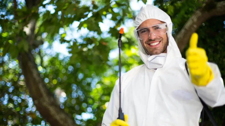 Deratizare și Dezinsecție în București: Soluții Profesionale pentru un Mediu Curat și Sigur