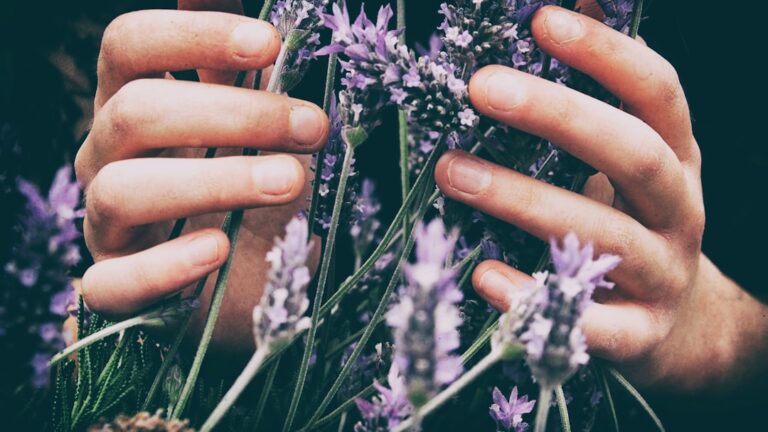 Cum să îți întărești imunitatea cu ajutorul uleiului de oregano iarna