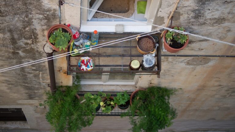 Călătorie în lumea grădinăritului urban: Transformă balconul într-o oază verde