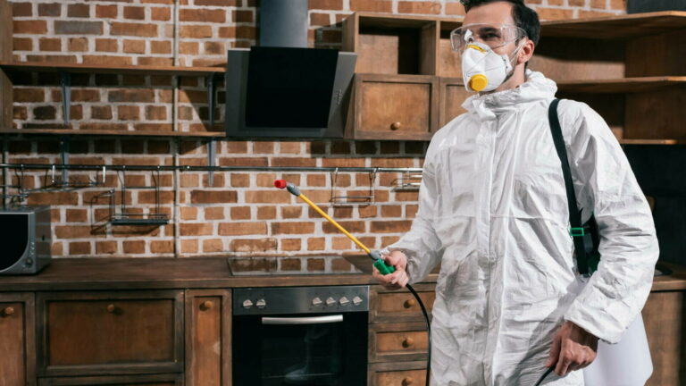 Firmă de deratizare și dezinsecție cu experiență în București