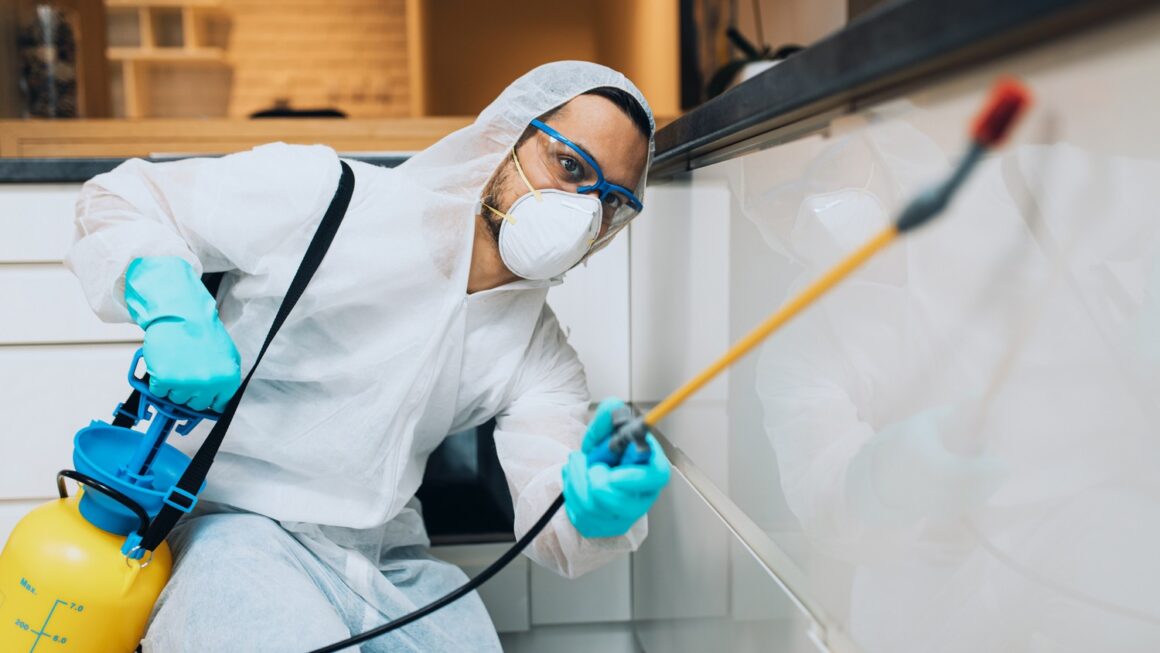 Soluții eficiente pentru deratizare: Cum o firmă DDD profesională poate proteja spațiile tale