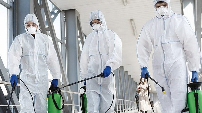 Soluții eficiente de atac pentru firmele de deratizare cum să alegi și să optimizezi serv