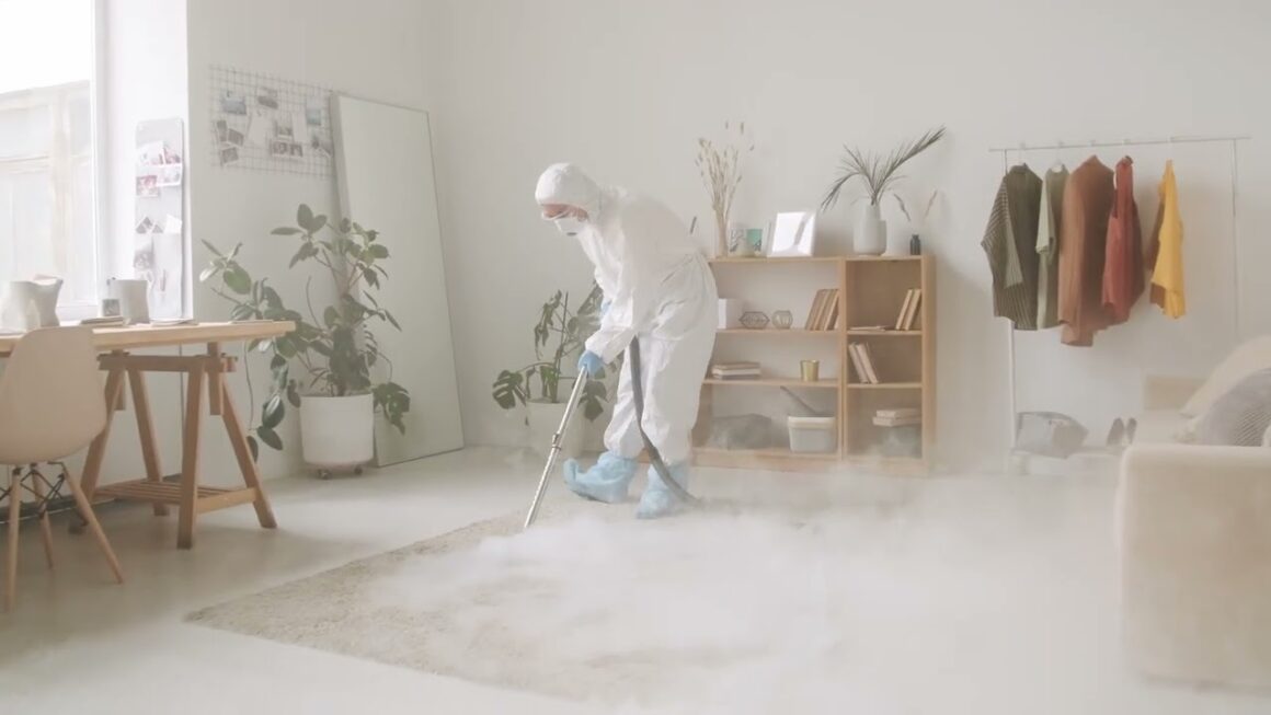 Soluții eficiente pentru combaterea dăunătorilor: Servicii deratizare oferite de firme DDD profesionale