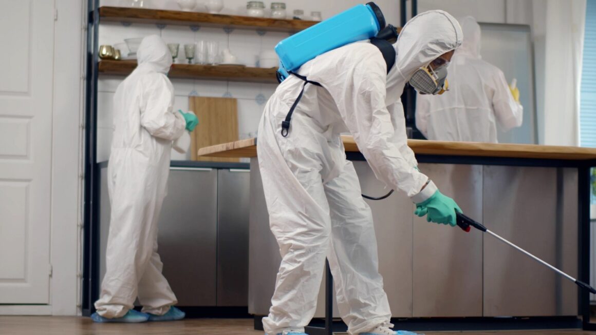 Soluții eficiente pentru combaterea dăunătorilor: Serviciile oferite de o firmă de deratizare profesionistă