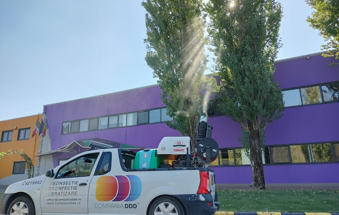 De ce sunt importante serviciile DDD trimestriale