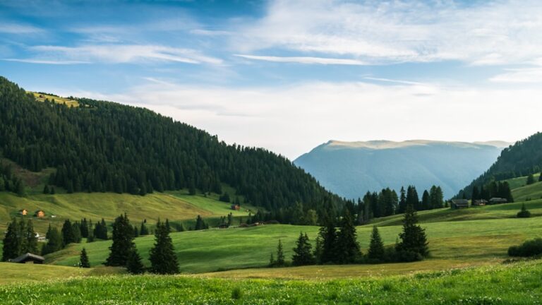 Secretele pentru claritate mentală