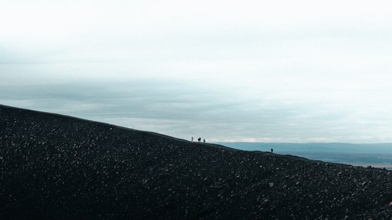 Cum să organizezi excursii pentru grupuri