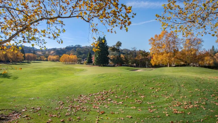 Semnificația viselor cu bani și bogăție