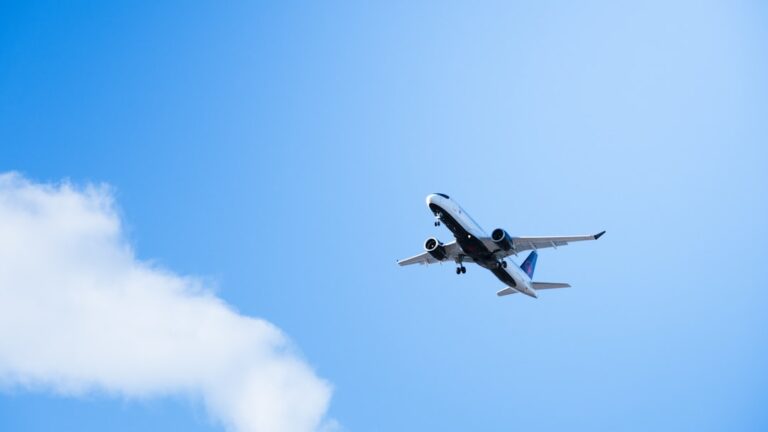 Vise frecvente despre zbor și libertate