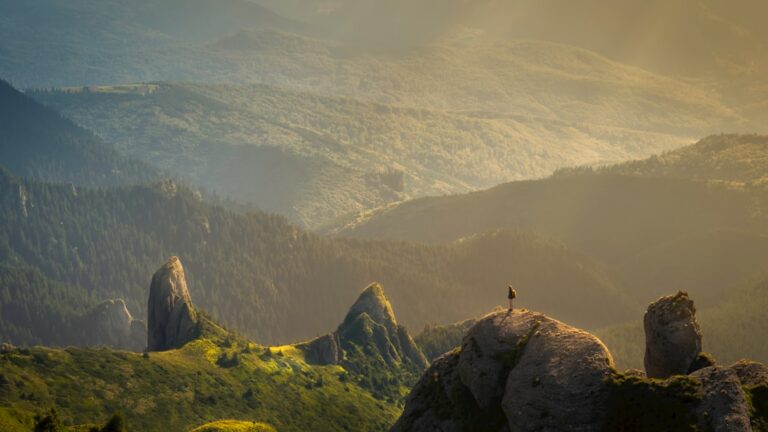 Cum să îți schimbi mentalitatea limitativă