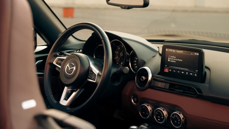 Cum să cureți interiorul mașinii rapid