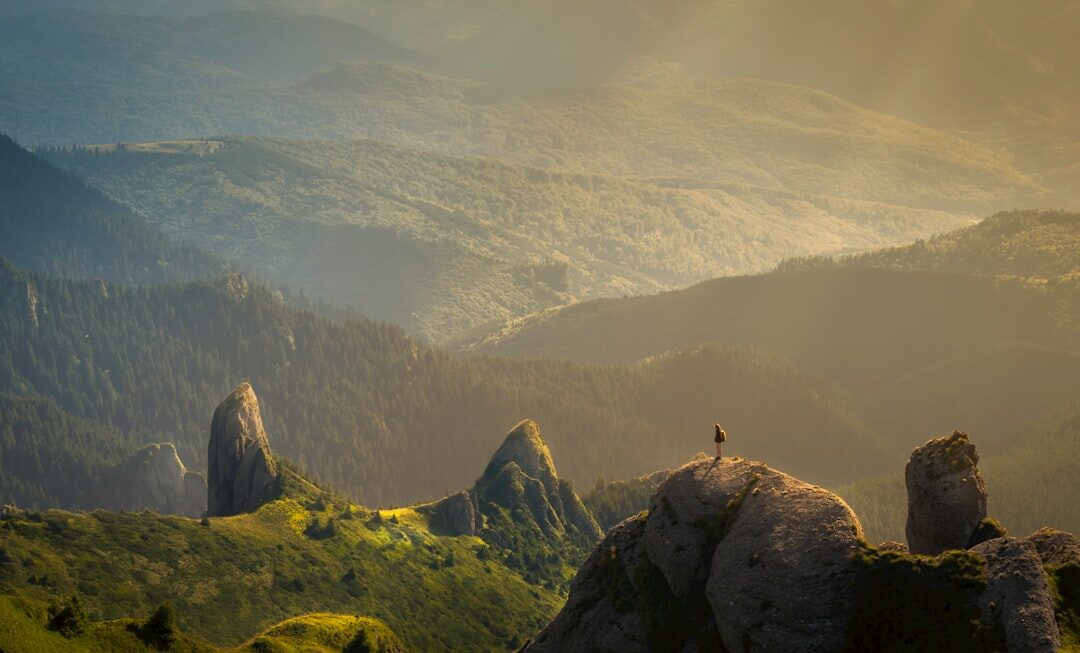 Rețetă de smoothie rapid cu banane