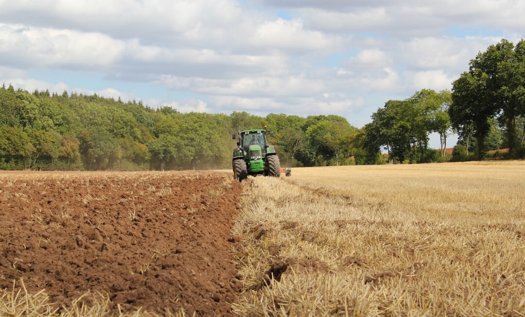 Impactul reglementărilor agricole asupra producătorilor de cereale