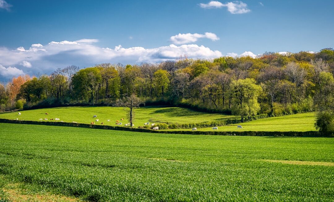 Pregătirea autorităților locale pentru sezonul agricol de primăvară