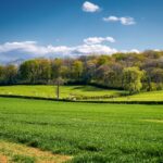 Photo local authorities, spring agricultural season