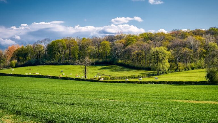 Pregătirea autorităților locale pentru sezonul agricol de primăvară
