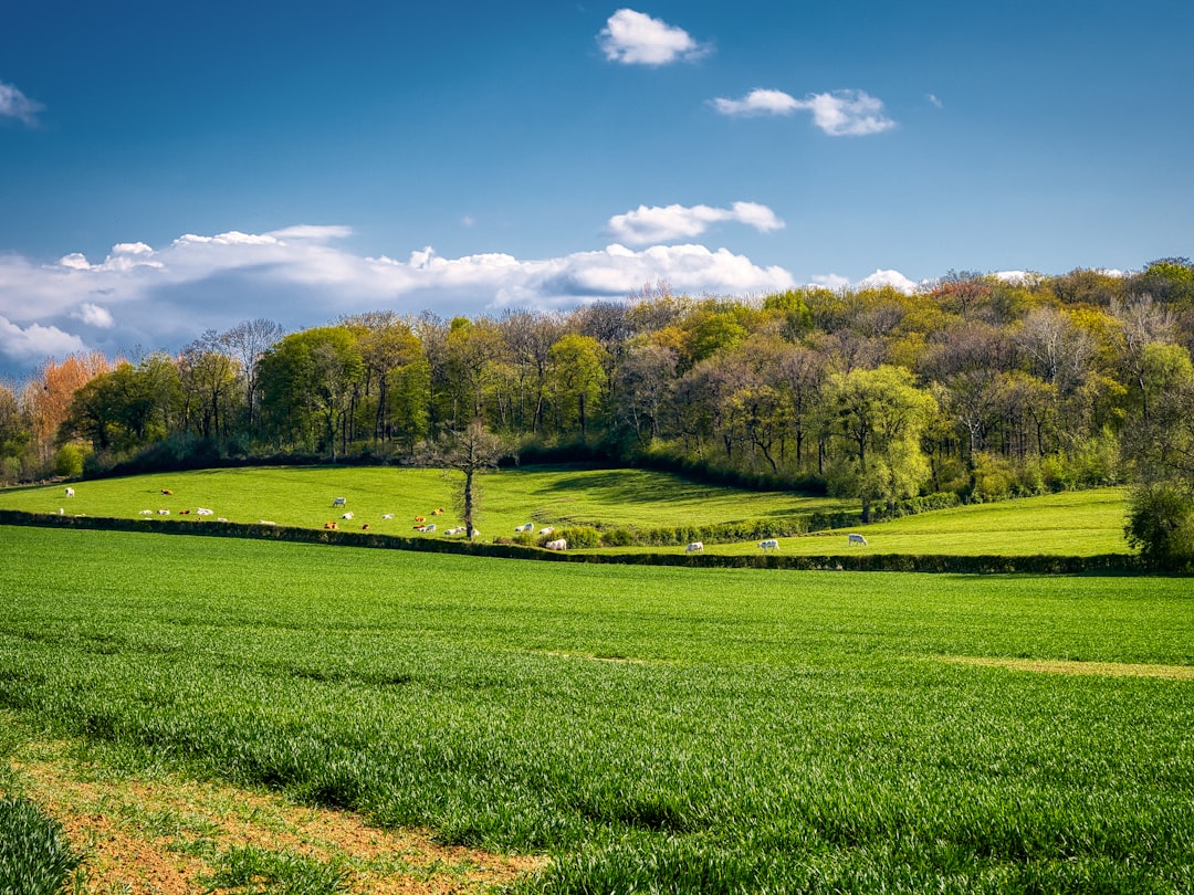 Photo local authorities, spring agricultural season