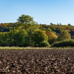 Photo agricultural land prices