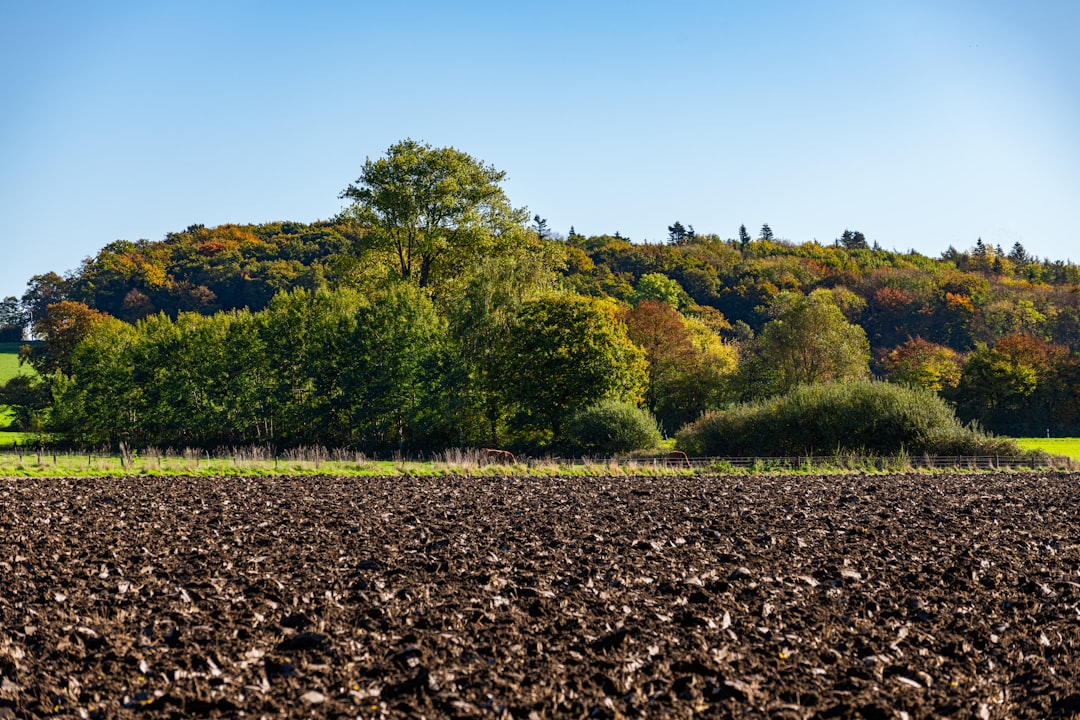 Photo agricultural land prices