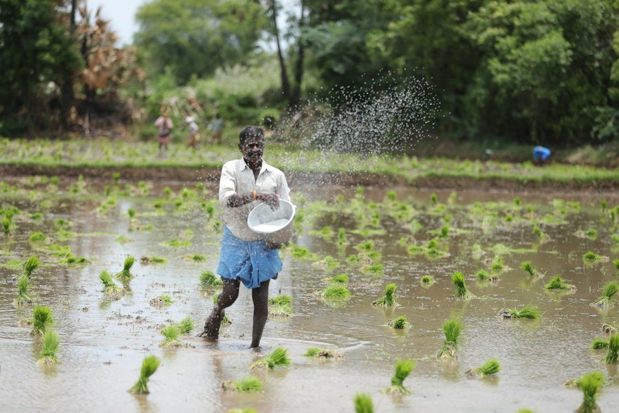 support for small farmers