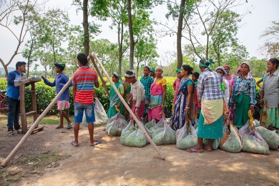 healthcare rural areas