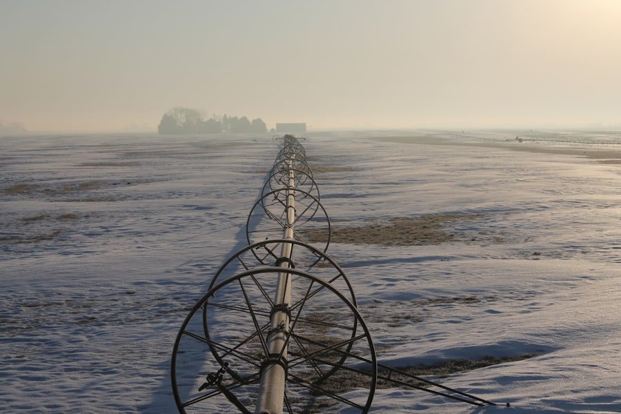 Photo irrigation system