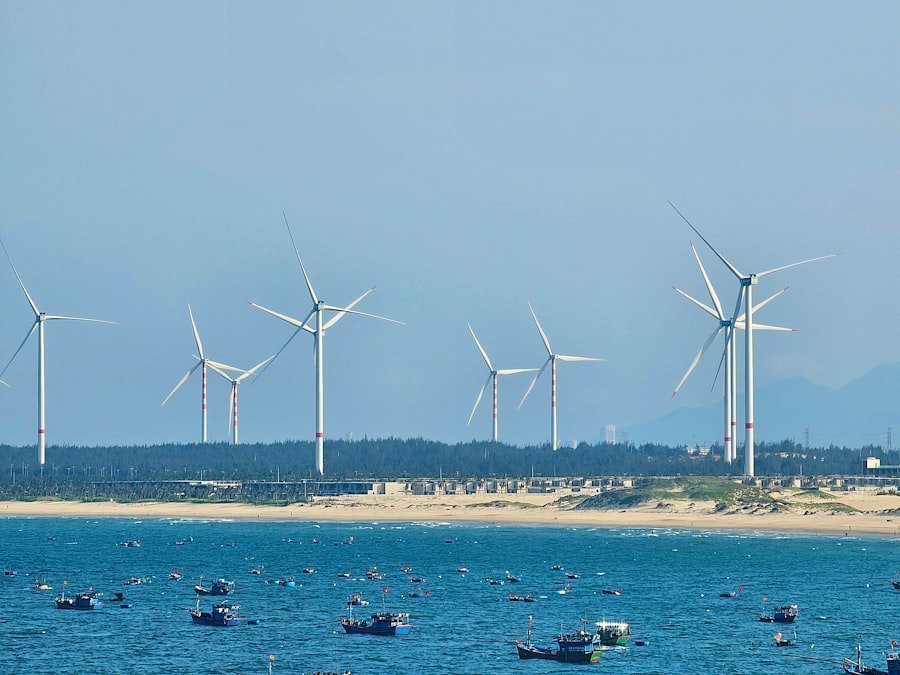 Photo sustainable development