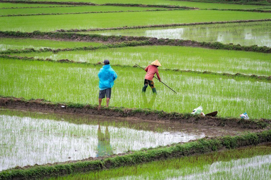 Photo support for small farmers