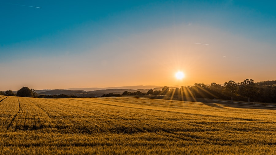 Photo agricultura