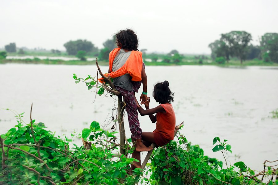 Photo social assistance system