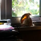 Photo housing demand