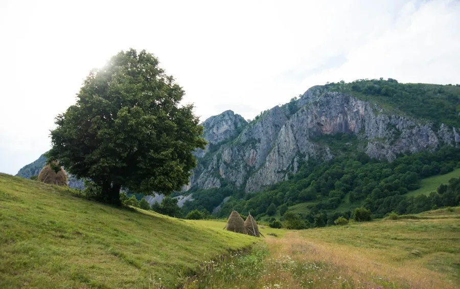 Photo famous people from county Romania